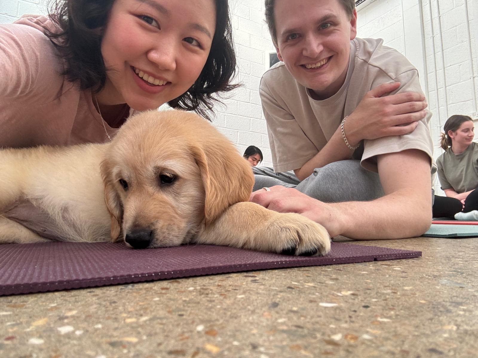Puppy yoga